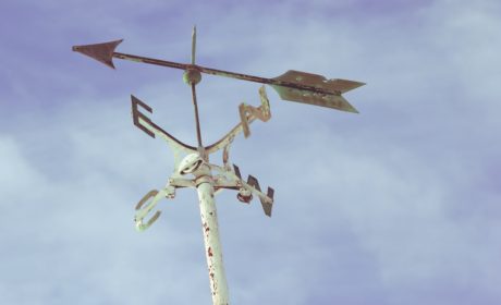 A weather-vane to represent having a coach