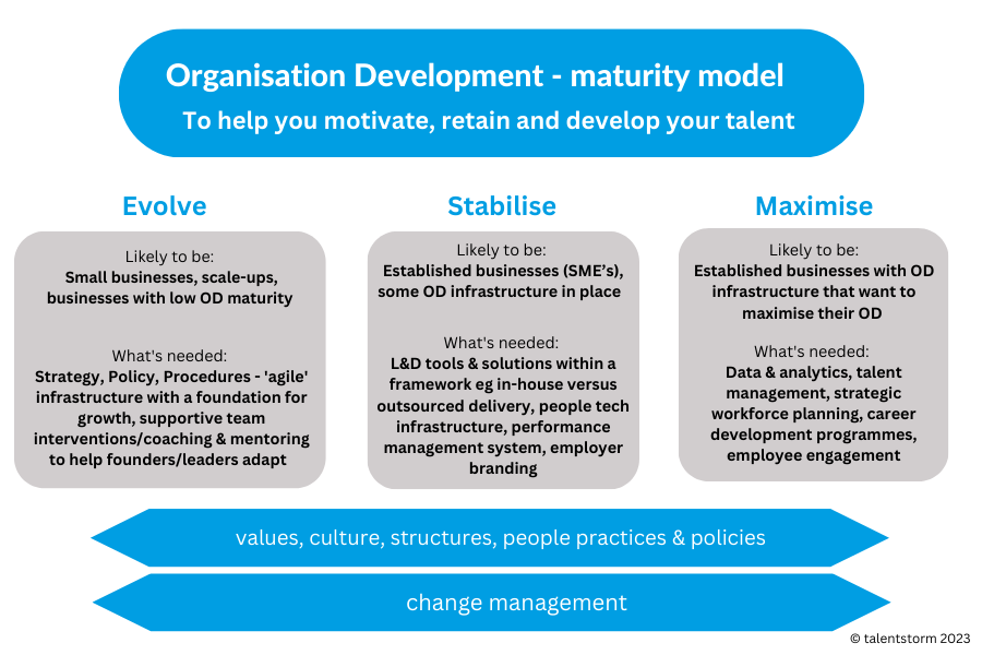 Introducing the Organisational Development Maturity Model - Talentstorm